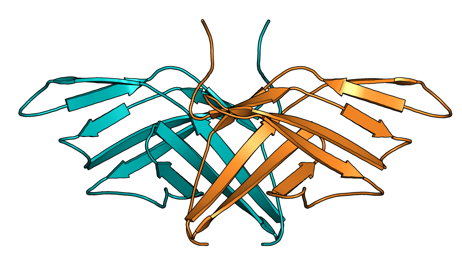 Alt a 1 - protein structure